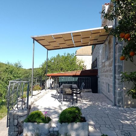 Holiday Apartments Maslina Paho Babino Polje Екстер'єр фото