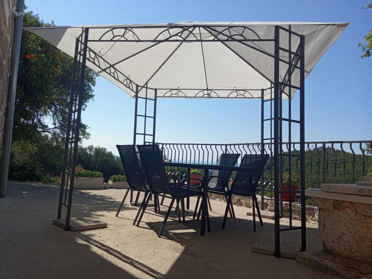 Holiday Apartments Maslina Paho Babino Polje Екстер'єр фото