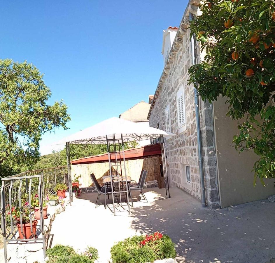 Holiday Apartments Maslina Paho Babino Polje Екстер'єр фото