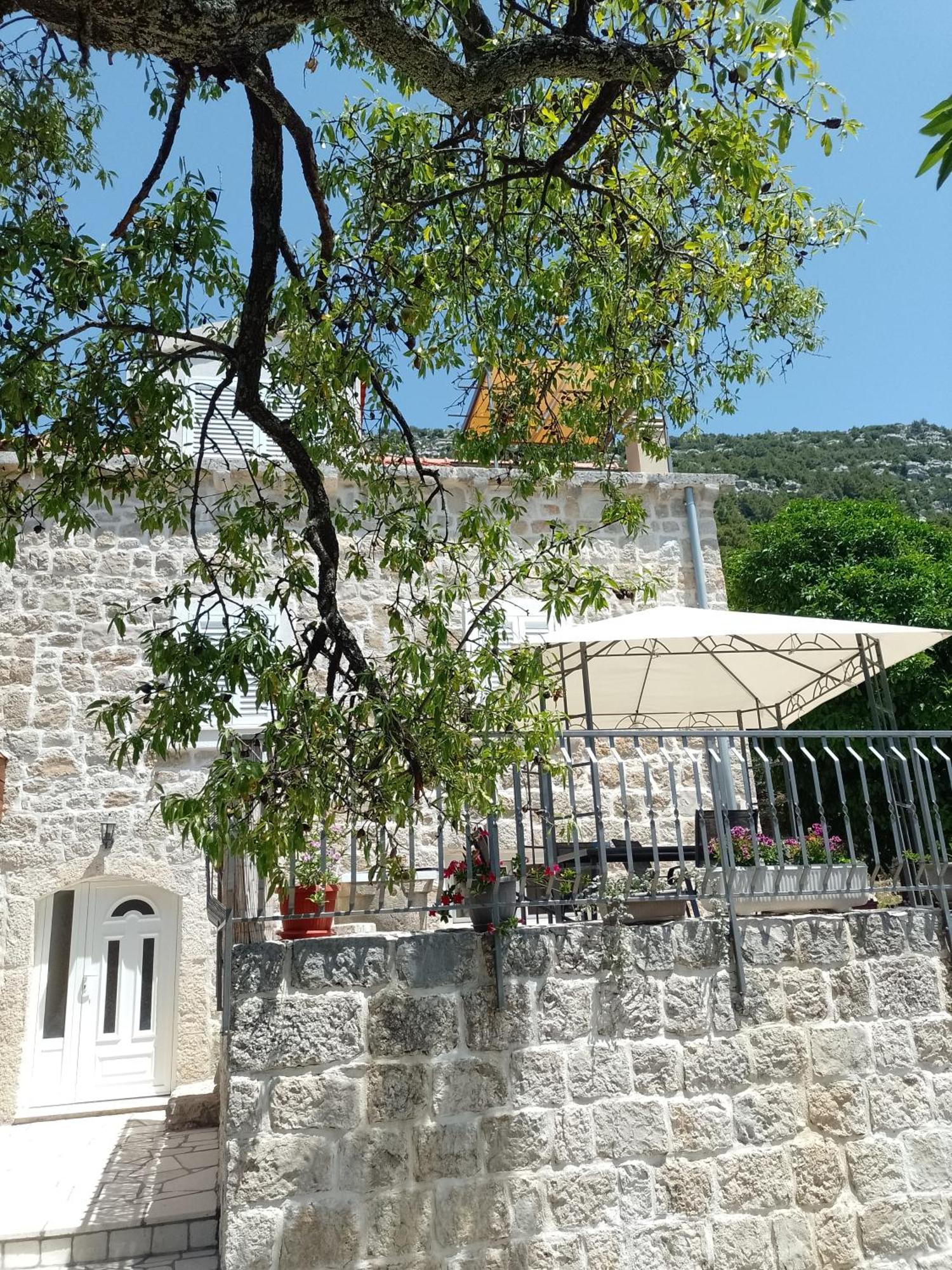 Holiday Apartments Maslina Paho Babino Polje Екстер'єр фото
